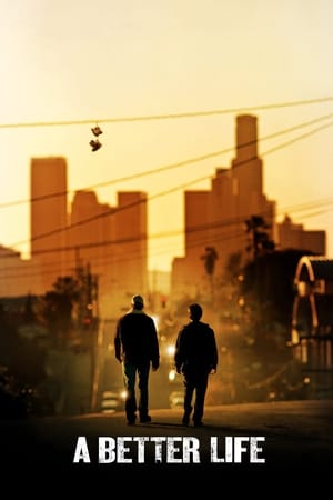 A Better Life (2011) Hindi Dual Audio 480p BDRip 340MB - Movierulz